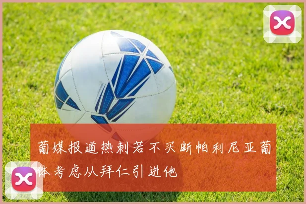 葡媒报道热刺若不买断帕利尼亚葡体考虑从拜仁引进他