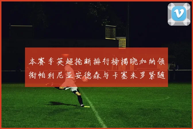 本赛季英超抢断排行榜揭晓加纳领衔帕利尼亚安德森与卡塞米罗紧随其后