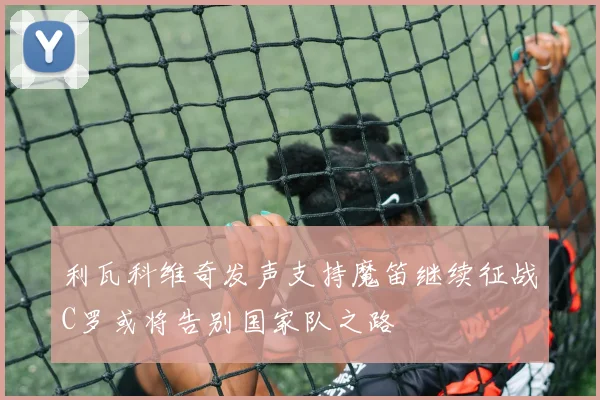 利瓦科维奇发声支持魔笛继续征战C罗或将告别国家队之路